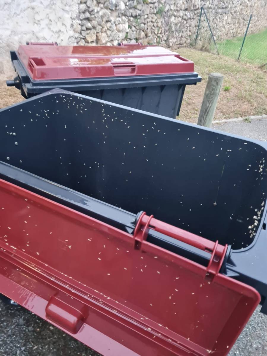 quelle entreprise de propreté réactive pour laver et désinfecter le local poubelle d'un immeuble à La Brède et autour?